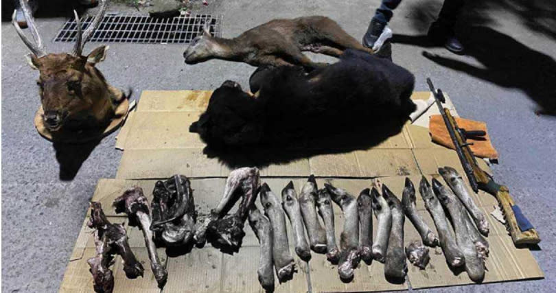 檢警懷疑熊屍落入黑市交易中。（圖／屏檢提供）