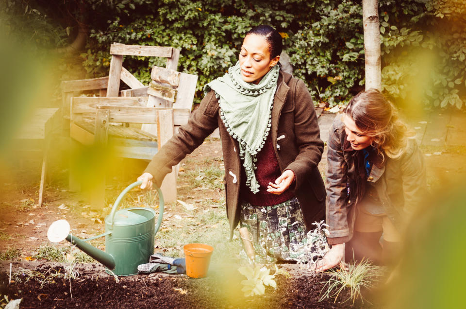 Pick your perennials [Photo: Getty]