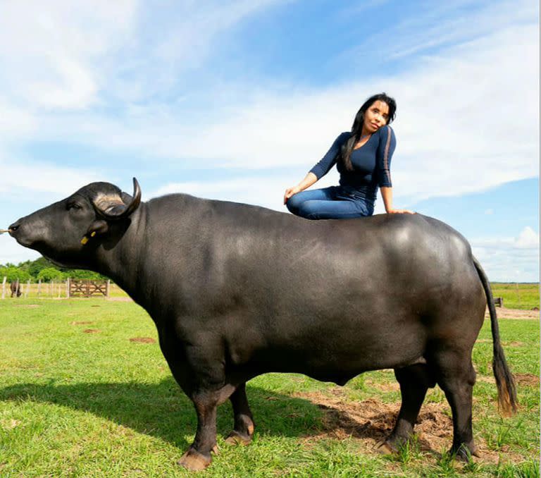 Nilda Silva dejó la ciudad y sin saber nada de campo se fue domesticar búfalos en medio de la nada