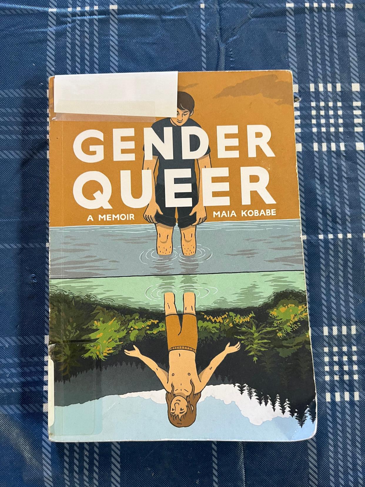 A copy of "Gender Queer: A Memoir." Some members of the Deckerville Community are requesting the book be removed from shelves according to the Deckerville Library