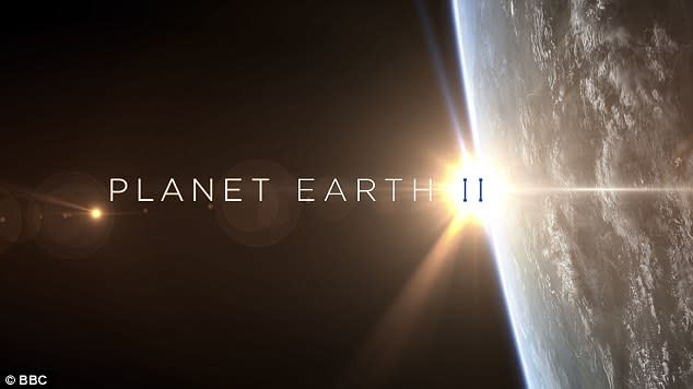 1. Planet Erde II