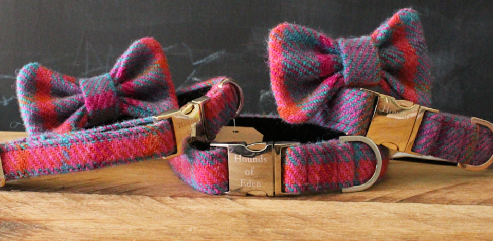 Hounds of Eden Dara Collar and Lead, from £22