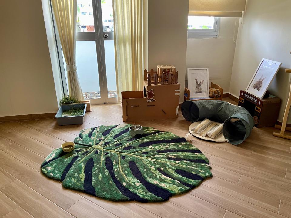 A room that has been converted into playpen for their pet bunny with toys, a play tunnel, and a large rug in the shape of a leaf.