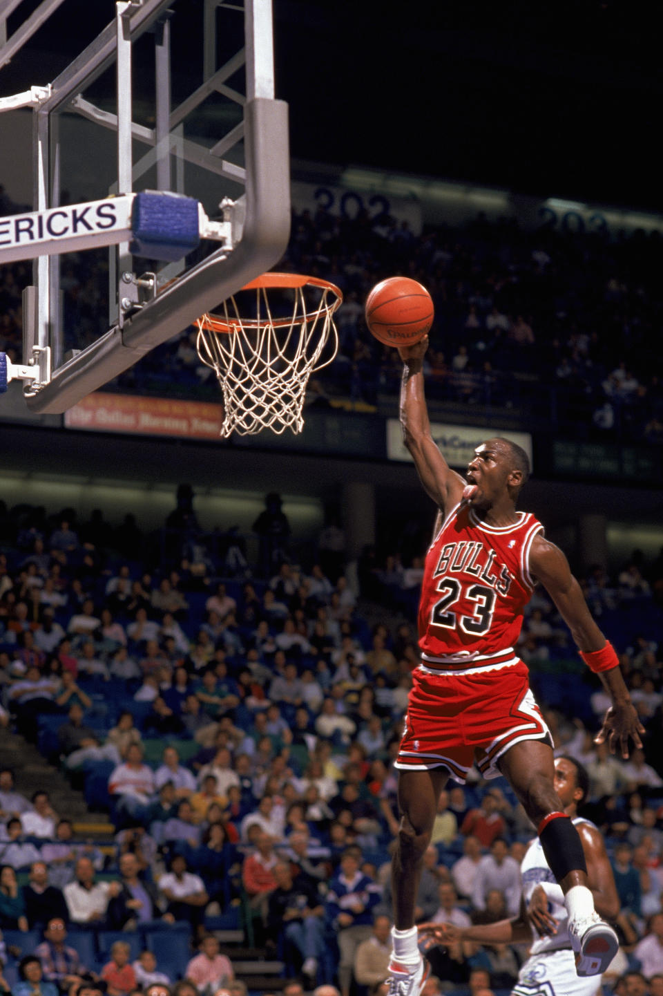 Michael Jordan, basketball & baseball