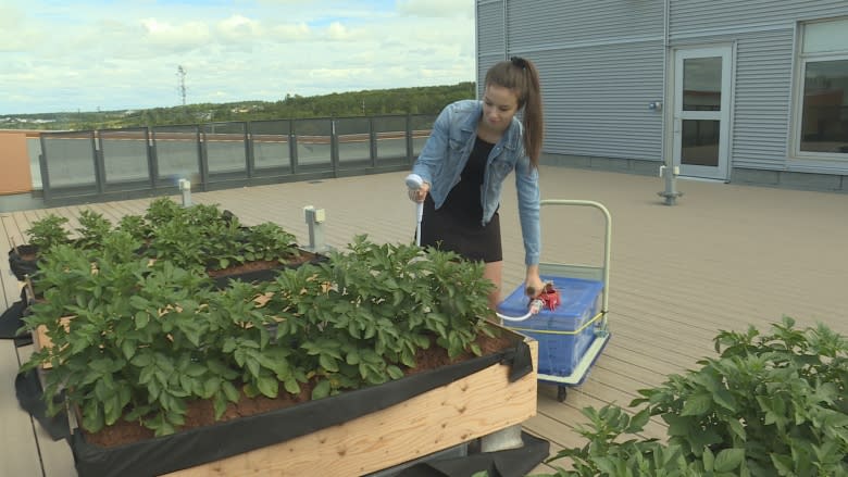 Young women solve real world problems through new engineering program