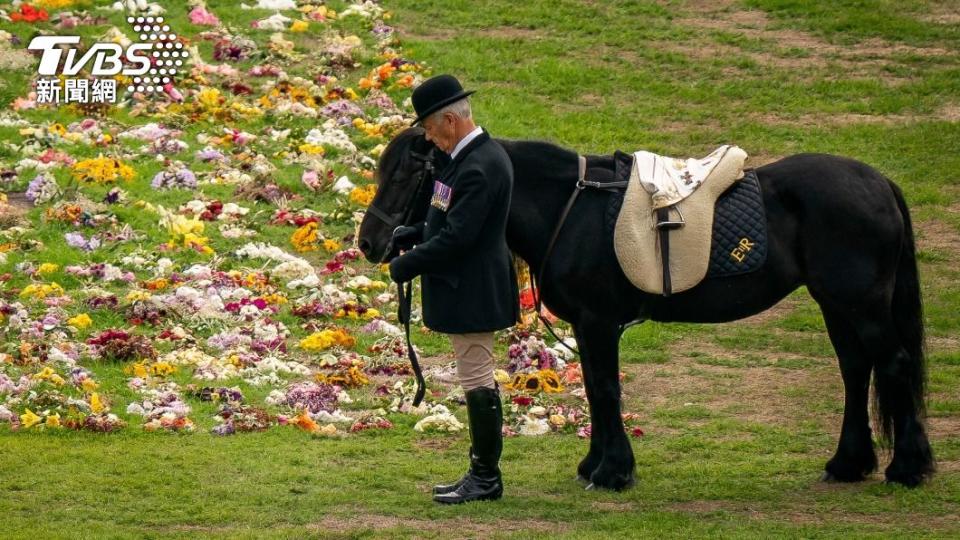 女王豢養了26年的黑色小馬艾瑪（Carltonlima Emma）與馬伕站立在溫莎城堡（Windsor Castle）草皮送別女王。