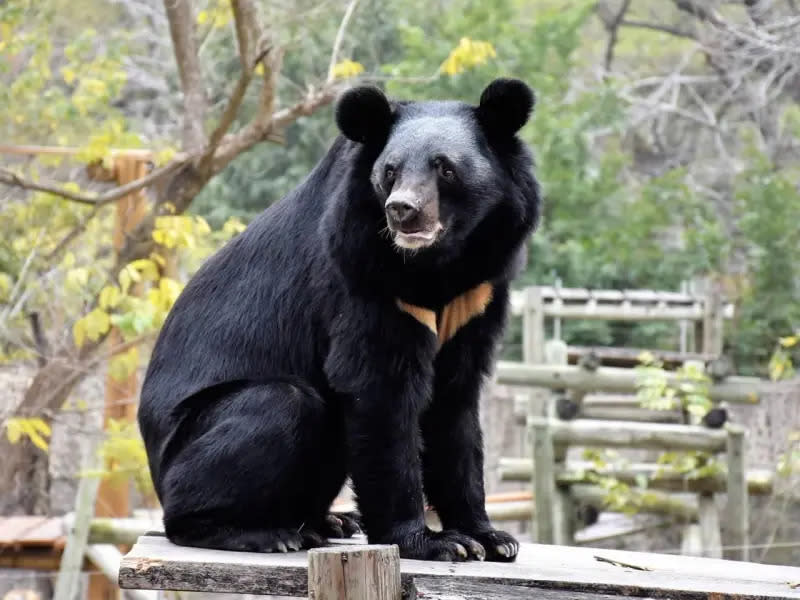 ▲親子必遊景點壽山動物園。（圖／高市府觀光局提供）