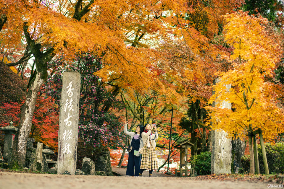 紅葉名所香嵐溪