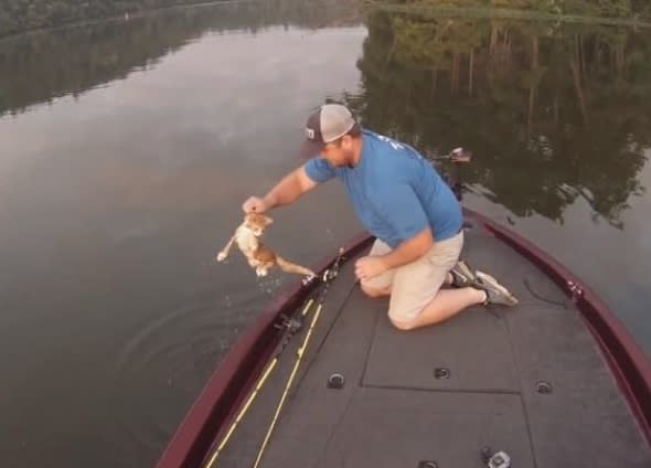 Fishermen save two kittens that swim up to their boat