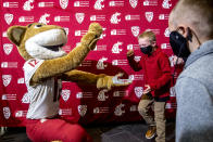 Washington State mascot Butch plays a game of rock, paper, scissors with new Washington State football cach Jake Dickert's children Thursday, Dec. 2, 2021, in Pullman, Wash. Dickert was elevated last week from interim coach after the Cougars pounded rival Washington 40-13 in the annual Apple Cup game in Seattle. (August Frank/Lewiston Tribune via AP)