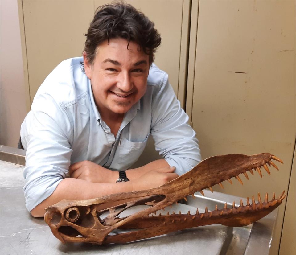 Tim Richards with the skull of an anhanguerian pterosaur.