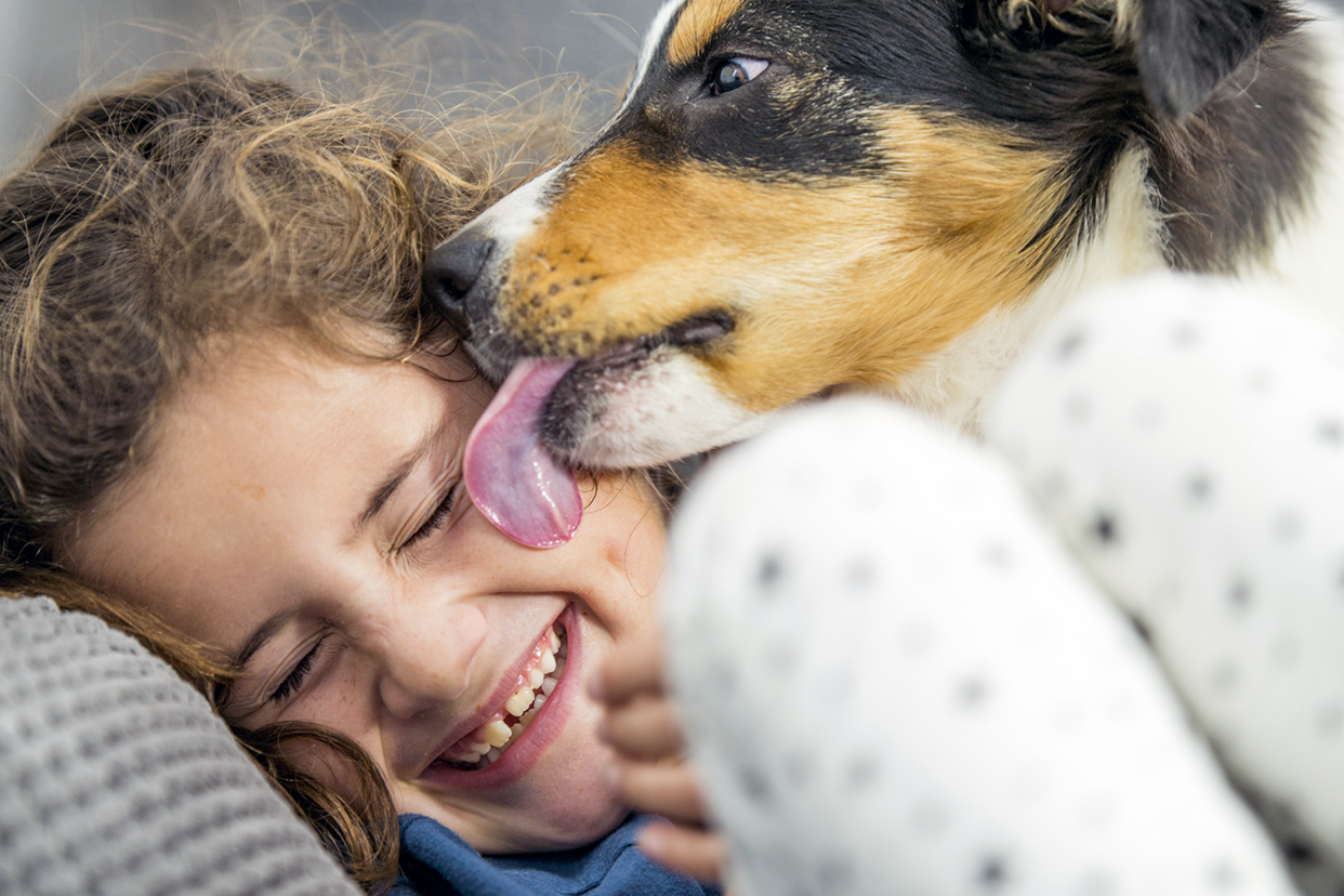 dog licking girl's face; Is a dog's mouth cleaner than a human's?