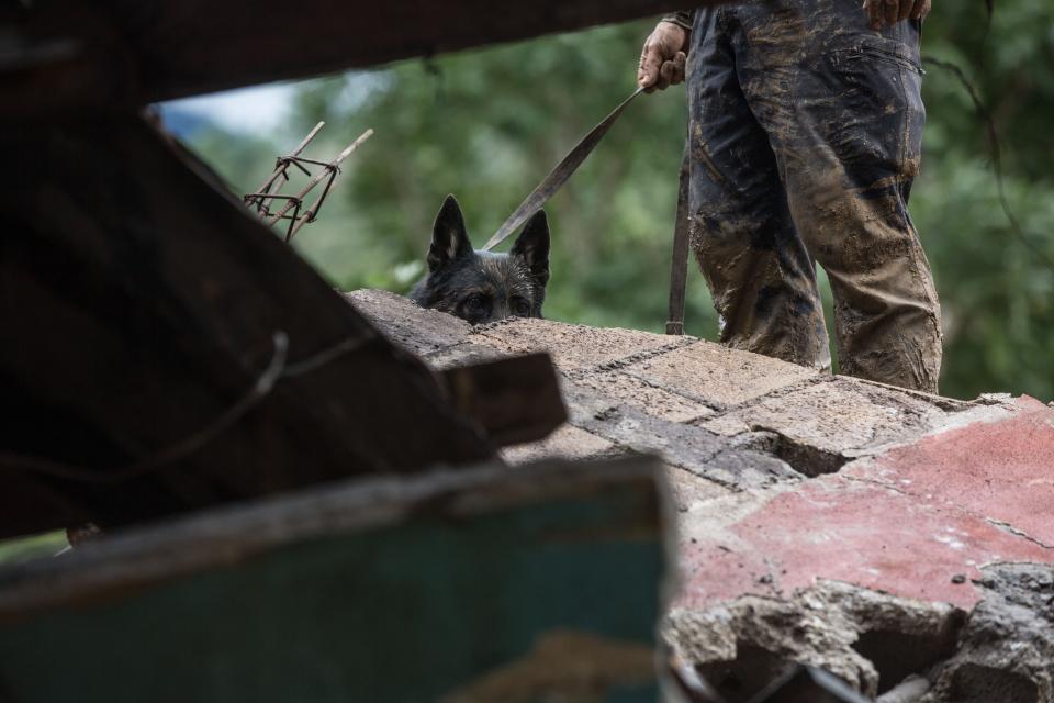 FILE - In this Nov. 7, 2020 file photo, a rescue dog and his handler search for survivors amid the destruction caused by a massive, rain-fueled landslide in the village of Queja, in Guatemala, in the aftermath of Tropical Storm Eta. The storm made landfall on Nov. 3 in Nicaragua but left a path of death and destruction from Panama to Mexico. (AP Photo/Esteban Biba, File)