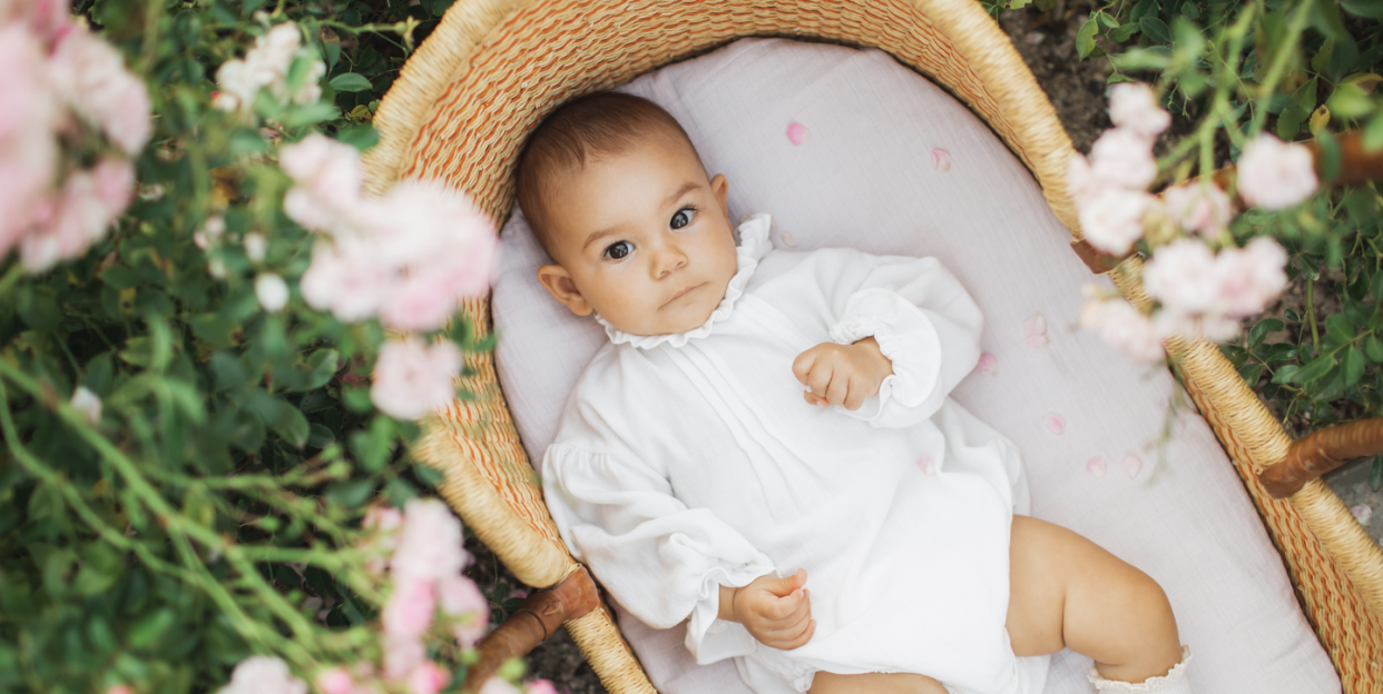 baby in a moses basket in grass