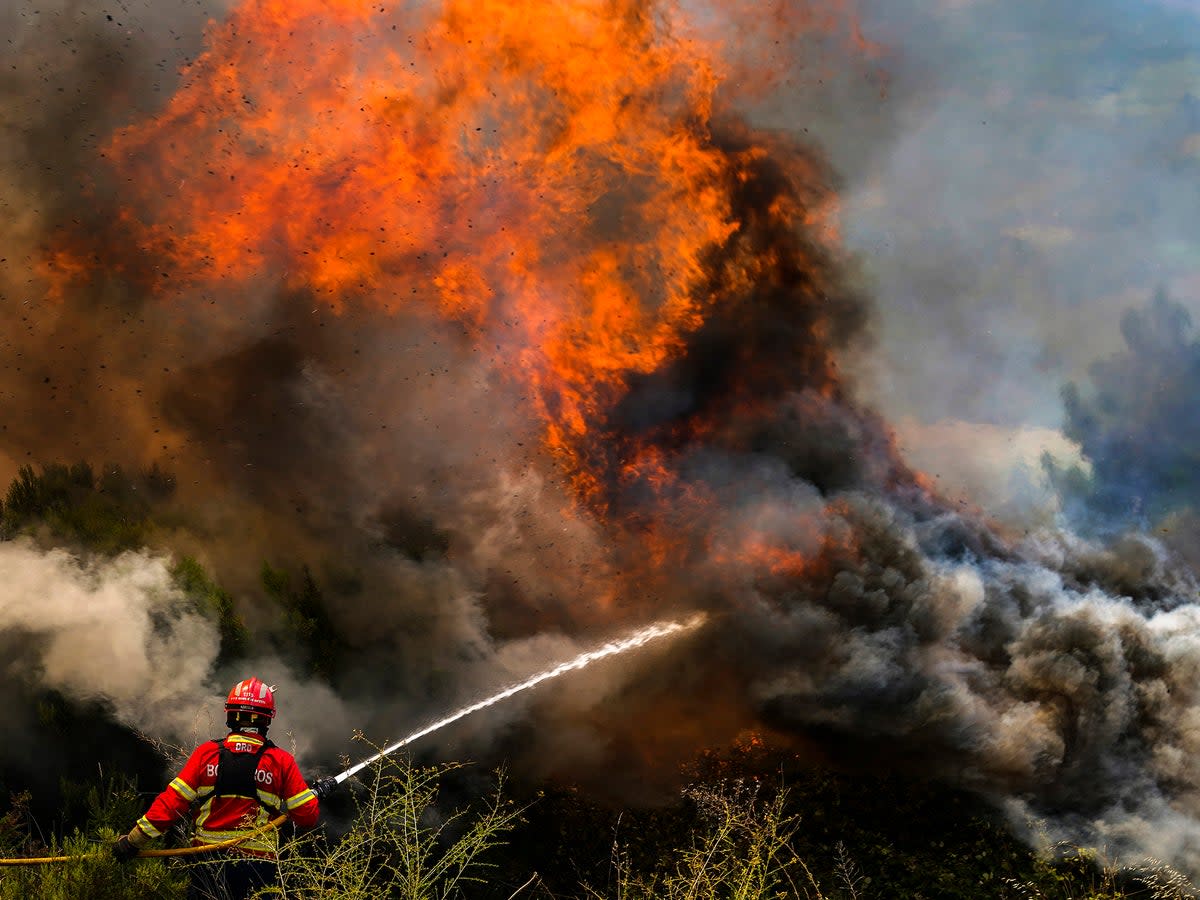 Wildfires in Portugal have already killed one person  (EPA)