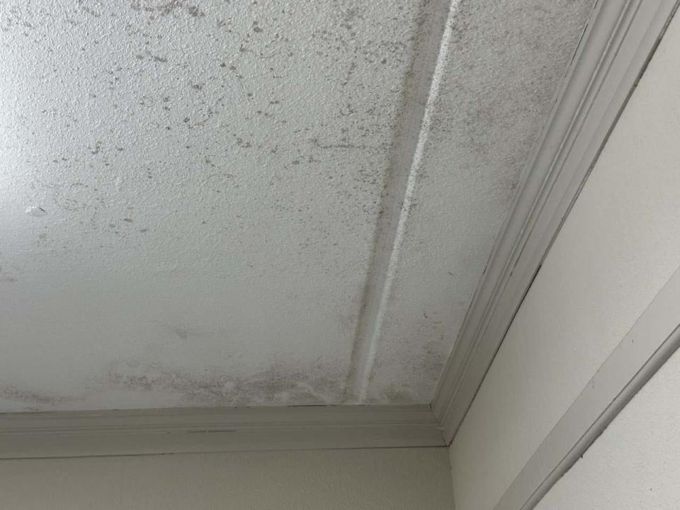 Level 3 mold inside the barrocks at Fort Stewart.