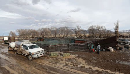 A temporary corral is seen in the Wah Wah Valley where wild horses were sorted after being herded during a Bureau of Land Management round-up outside Milford, Utah, U.S., January 8, 2017. REUTERS/Jim Urquhart