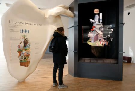 A visitor looks at a panel during a press visit as preparations continue at the Museum of Mankind (Musee de l'Homme) in Paris, France, October 14, 2015. REUTERS/Jacky Naegelen