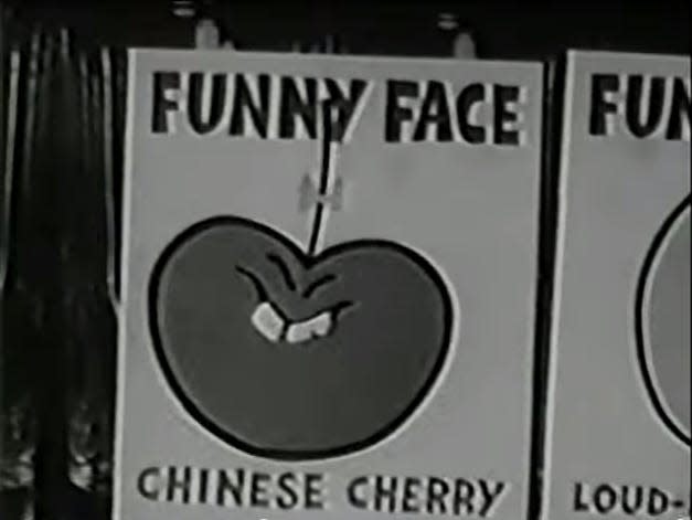 Funny Face cherry