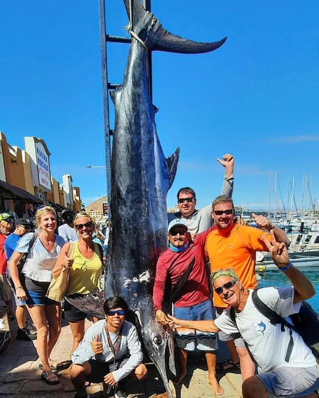 Anglers set out for tuna, land 1,000-pound blue marlin - Yahoo Sports