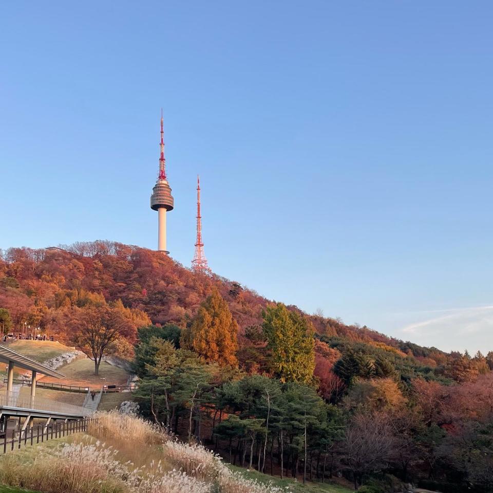 韓國紅葉2023｜韓國賞楓熱點最新實況！11.17迎來初雪後仲有冇紅葉、銀杏葉？