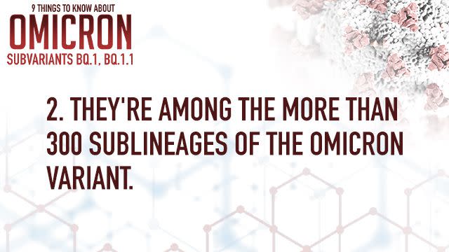 The Centers for Disease Control and Prevention said that two new omicron subvariants that appear to be more adept at dodging immunity make up more than half of the COVID-19 cases in the United States.