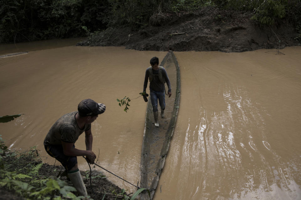 Agriculture technician Jesus Alfurez holds a sapling for transplanting as he crosses a river helped by a villager, headed to a mining camp where workers use a mercury-less gold-collecting machine, in Madre de Dios, Peru, on April 5, 2019. A study of former gold mines in Peru by scientists at CINCIA and Wake Forest University several years ago found that seedlings transplanted with soil were more likely to survive than “bare-root seedlings,” and the use of special fertilizers also helped growth. Some of the trees tested had absorbed trace amounts of mercury through contaminated soil, but it’s not clear yet how this will affect them. (AP Photo/Rodrigo Abd)