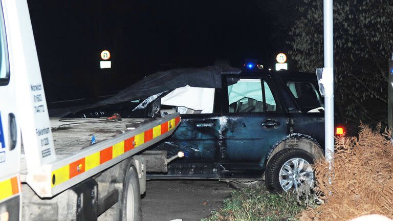 The Sandringham crash happened in January this year