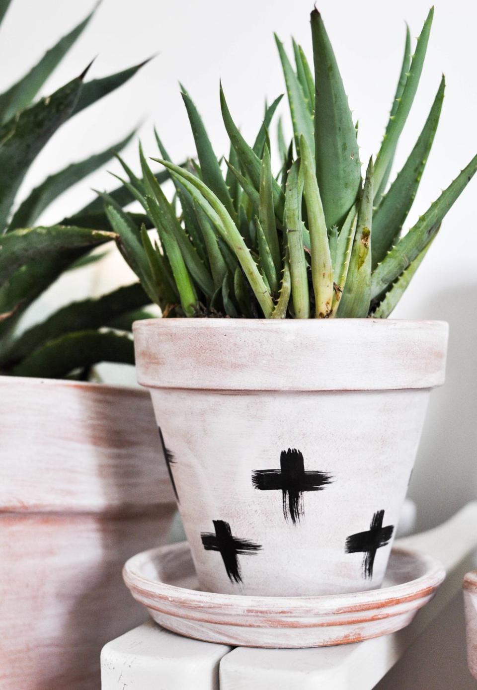 whitewashed terracotta diy planters