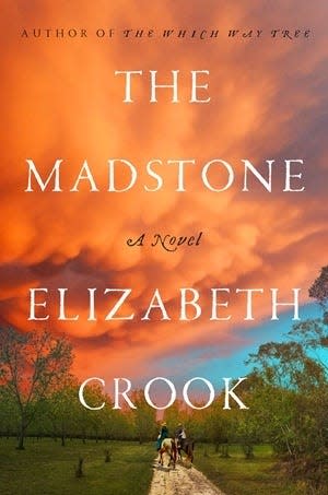 "The Madstone: A Novel" by Elizabeth Crook was easily one of the best Texas books of 2023.