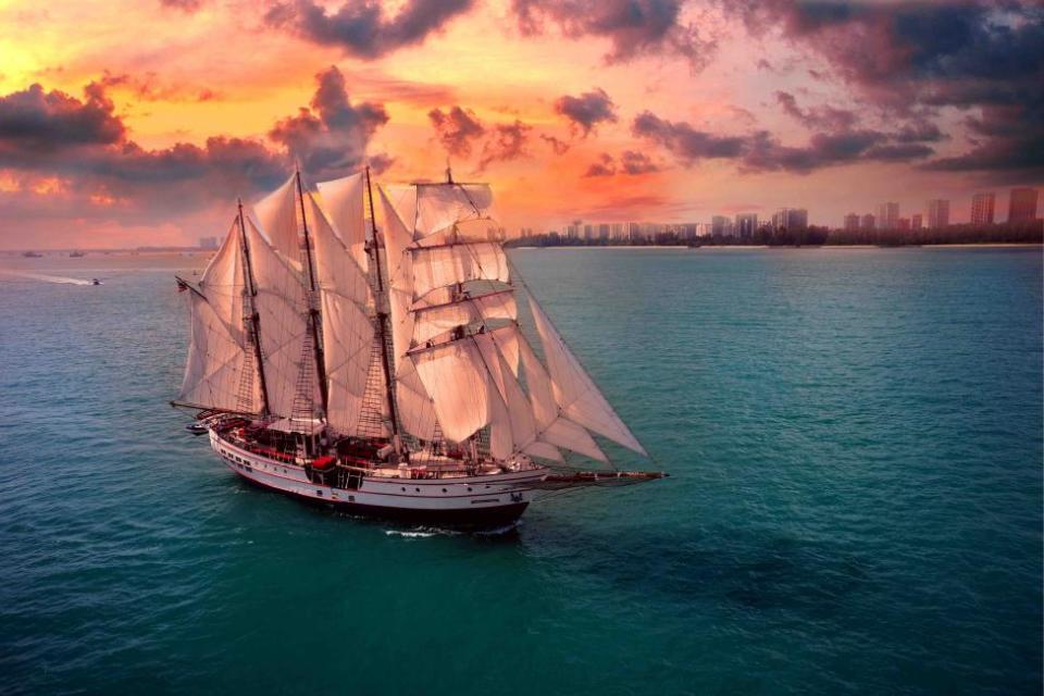 Royal Albatross Sunset Sail | City Lights Dinner Cruise. (Photo: KKday Singapore)