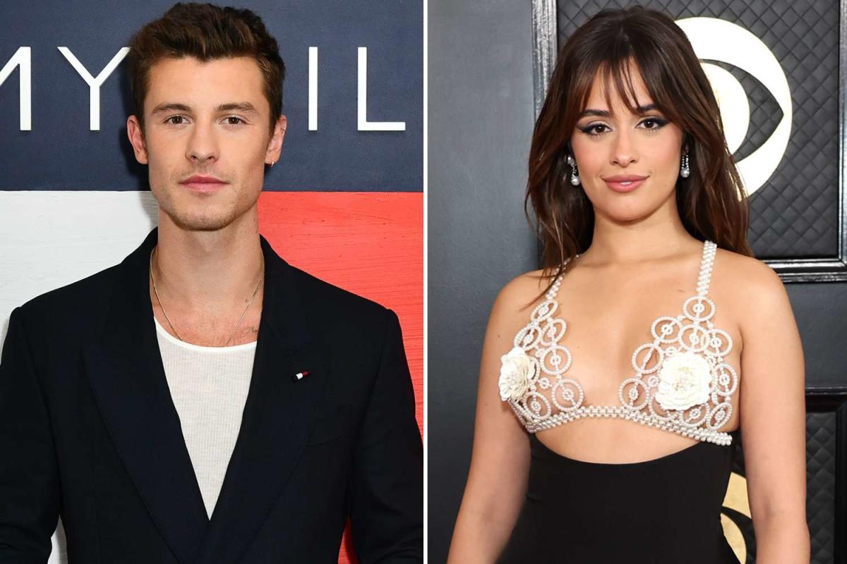 Shawn Mendes and Camila Cabello 'Seem Very Happy to Be Reconnected' After  Coachella Kiss: Source (Exclusive)