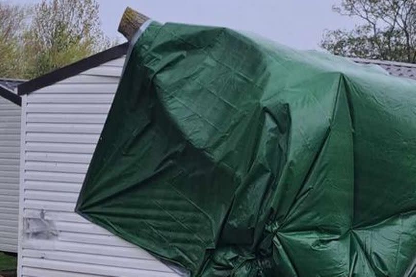 A large green tarp covering the hole left by a fallen tree