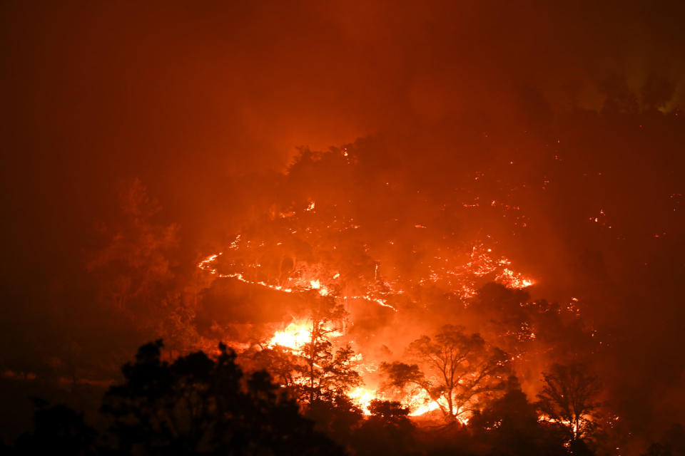 Incendio de Thompson: incendio forestal en el condado de Butte, California (archivo Tayfun Coskun/Anadolu vía Getty Images)