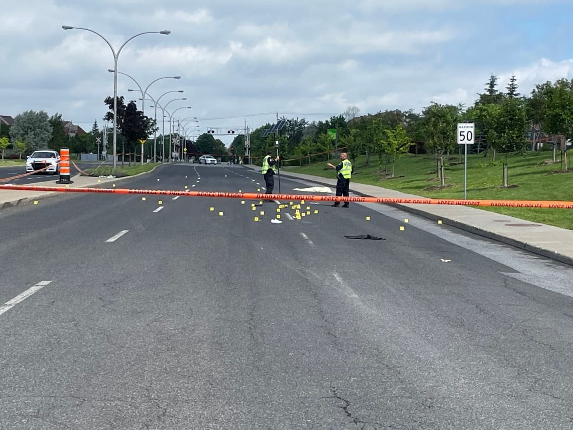 Police say the truck's front passenger bumper was damaged in the collision and are asking anyone with information to contact them.  (Jennifer Yoon/CBC News - image credit)