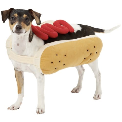 Halloween dog costumes of 2019 that are undeniably adorable.