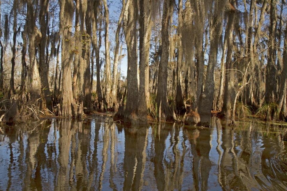 Louisiana