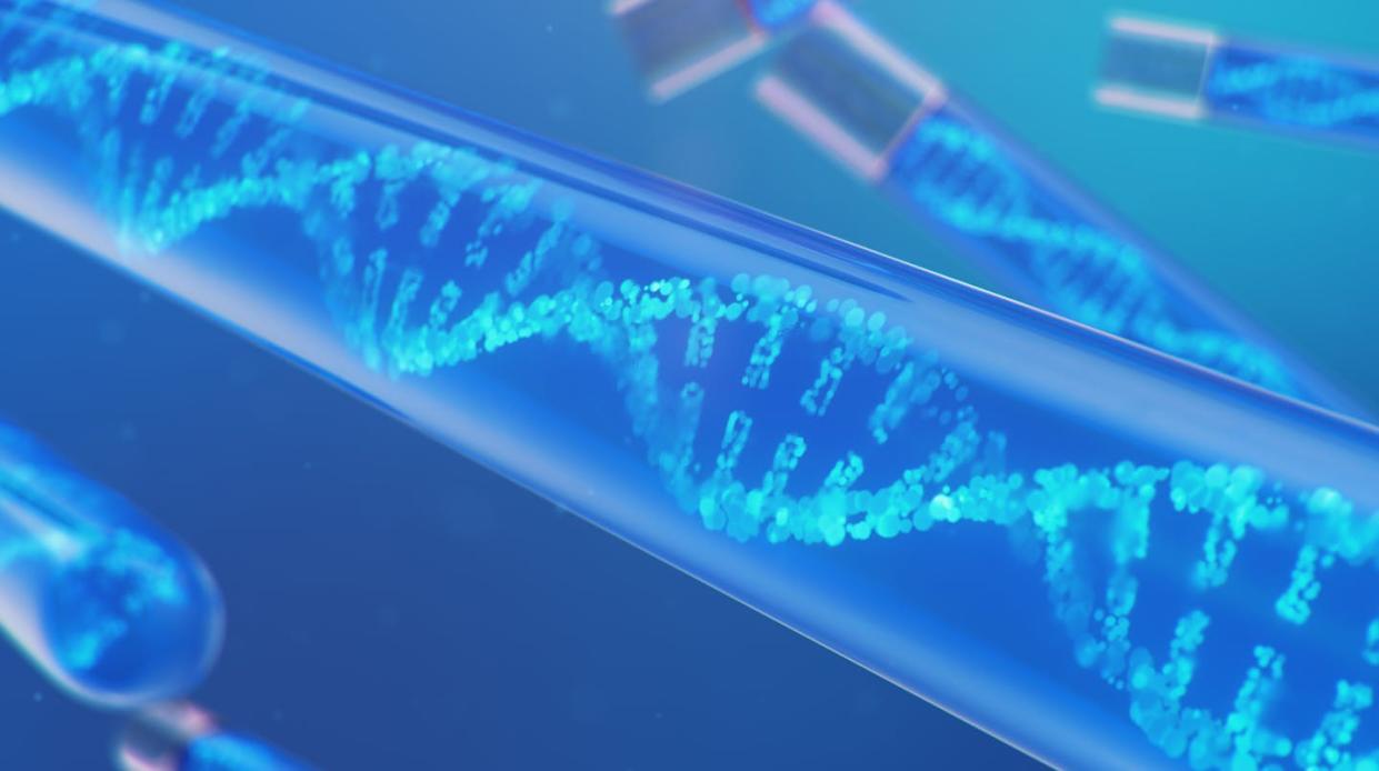 <a href="https://www.shutterstock.com/es/image-illustration/3d-illustration-dna-molecule-structure-concept-1689836362" rel="nofollow noopener" target="_blank" data-ylk="slk:Rost9/Shutterstock;elm:context_link;itc:0;sec:content-canvas" class="link ">Rost9/Shutterstock</a>