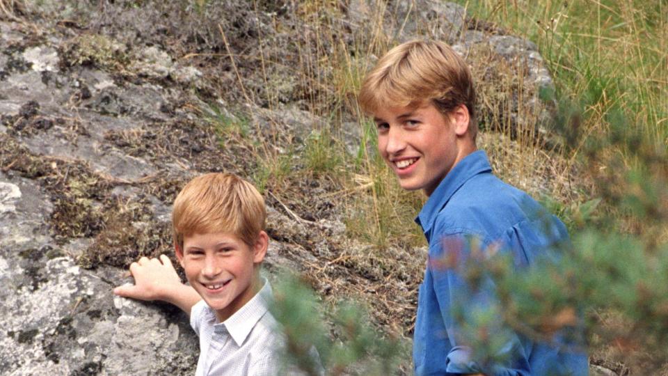 charles, william harry photocall in balmoral