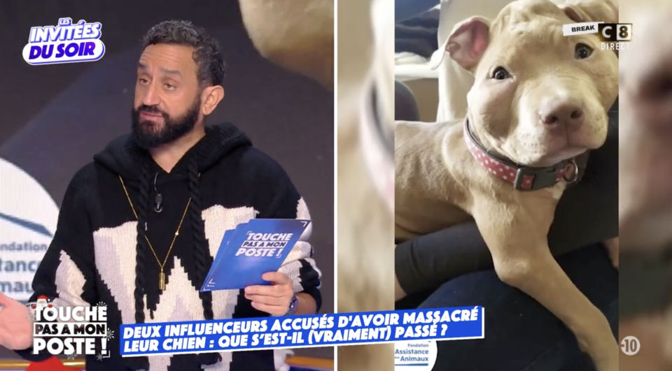 TPMP relaie la défense du couple accusé d'avoir maltraité leur chiot, les internautes s'énervent