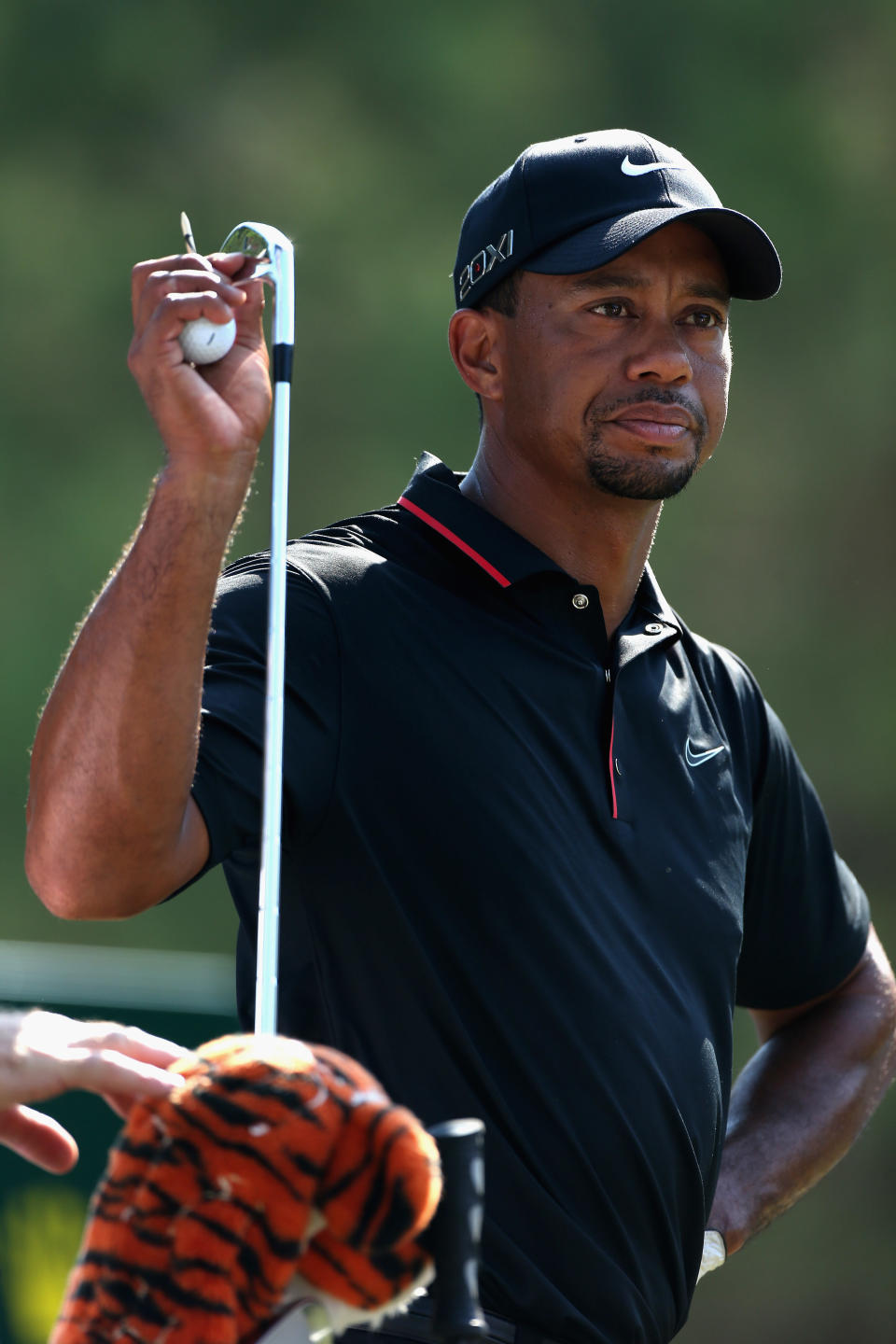 In January 2010, less than two months after <a href="http://www.foxnews.com/us/2009/11/28/tiger-woods-car-crash-came-explosive-story-claiming-affair/">reports first surfaced</a> that Tiger Woods had <a href="http://entertainment.blogs.foxnews.com/2009/12/07/tiger-woods-linked-to-10-women-cori-rist-jamie-jungers/">numerous affairs</a> while married to Elin Nordegren, the golfer <a href="http://articles.nydailynews.com/2010-01-19/gossip/17943385_1_tiger-woods-rehab-benoit-denizet-lewis">checked into Pine Grove Behavioral Health and Addiction Services</a> in Hattiesburg, Miss. to treat the sex addiction that he claimed destroyed his marriage.  In February of that year, he <a href="http://nymag.com/daily/intel/2010/02/tiger_woods_i_was_unfaithful_i.html">issued a televised apology</a> stating: "The issue involved here was my repeated irresponsible behavior. I was unfaithful. I had affairs. I cheated. What I did is not acceptable. And I am the only person to blame."    Woods and Nordegren, who <a href="http://www.people.com/people/article/0,,710377,00.html">wed in Barbados</a> in 2004, <a href="http://www.people.com/people/article/0,,20414961,00.html">finalized their divorce</a> in August 2010. 