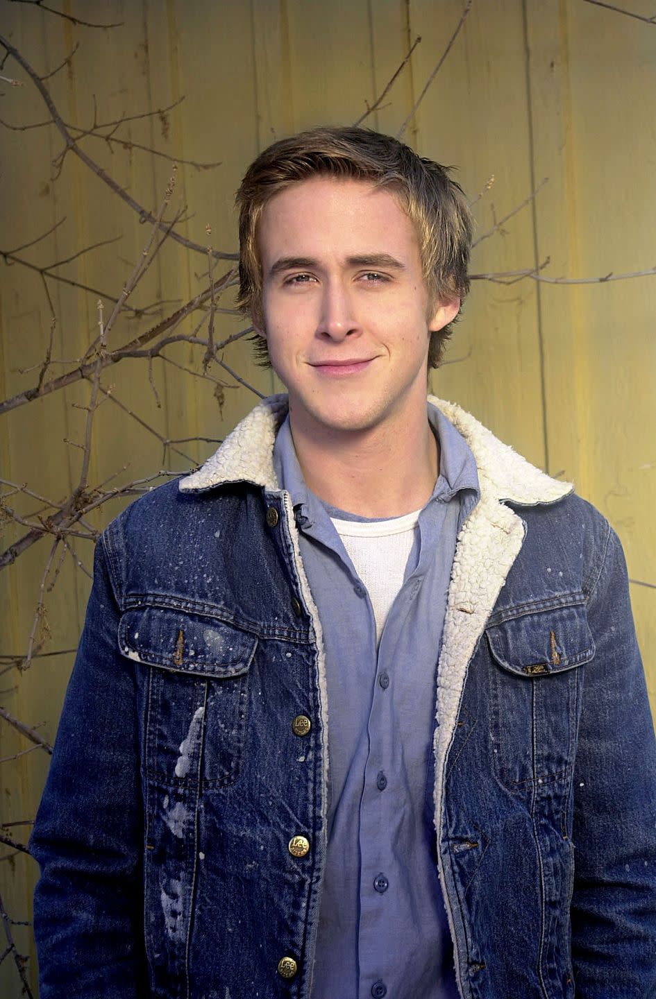 Ryan Gosling was cast because he supposedly wasn’t good-looking.