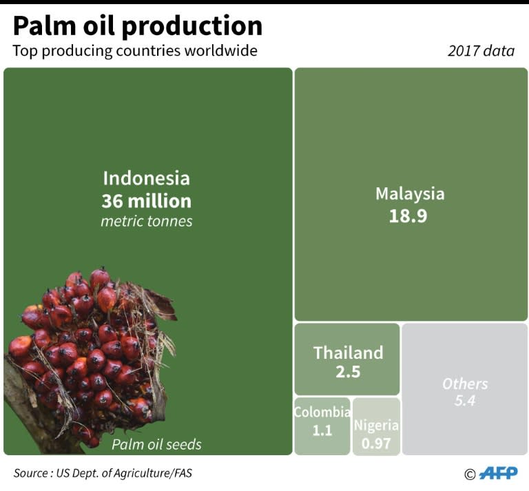 Chart showing top producers of palm oil, led by Indonesia