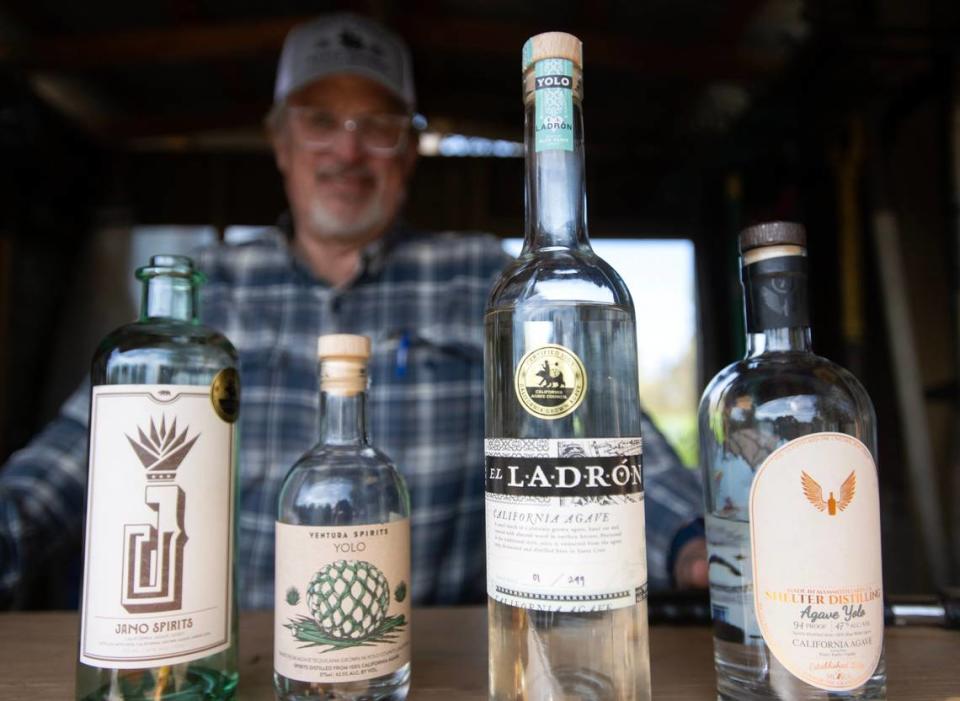 El director del California Agave Council, Craig Reynolds, junto a licores de agave cultivados localmente y elaborados a partir de plantas de agave destiladas, cosechadas en la granja de Joe Mueller en Woodland.