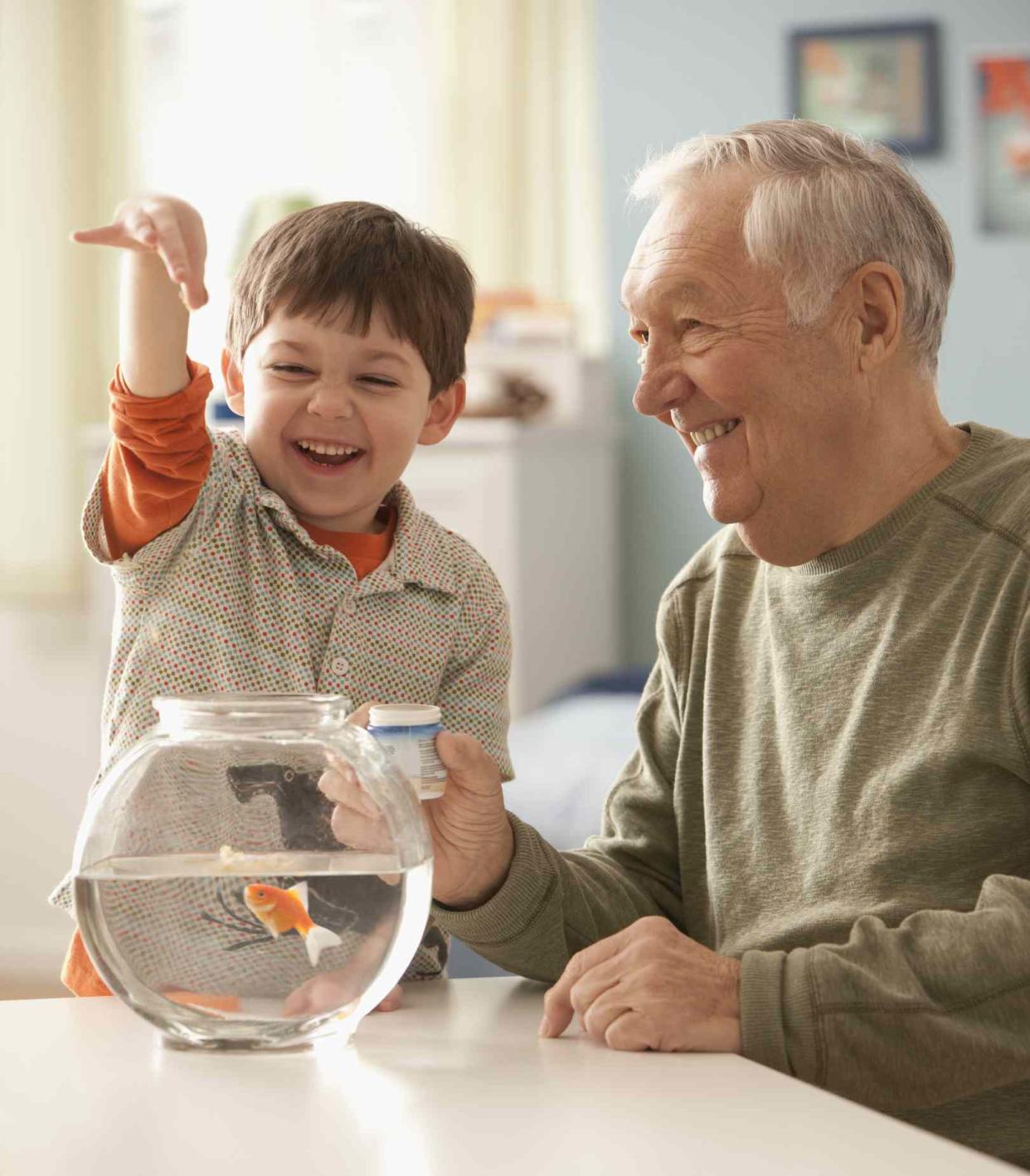 <p>Getty Images/KidStock</p>
 Small fish tanks may make great options for senior citizens