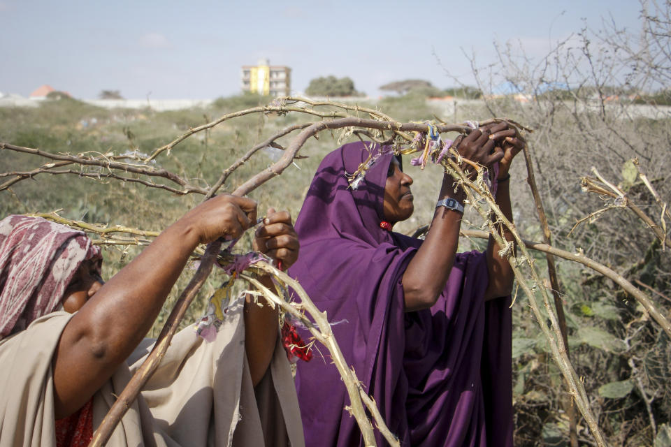 Somali women who fled drought-stricken areas start to build shelters at a makeshift camp on the outskirts of the capital Mogadishu, Somalia Friday, Feb. 4, 2022. Thousands of desperate families have fled a severe drought across large parts of Somalia, seeking food and water in camps for displaced people outside the capital. (AP Photo/Farah Abdi Warsameh)