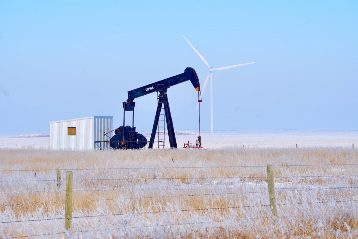 The Alberta government will lift its ban on approving new wind and solar projects on February 29. (Kyle Bakx/CBC - image credit)