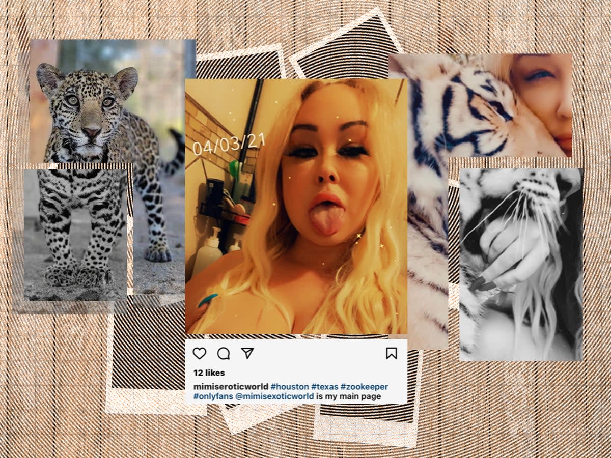 Trisha Denise ‘Mimi’ Meyer is currently facing four federal charges in relation to her illegal transportation and sale of an endangered jaguar ( )
