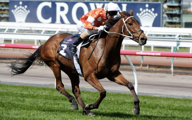 Placed in last year's Melbourne Cup. More of a dour stayer and may need longer than the mile-and-a-half. Is still racing well yet naturally will have one eye on the Melbourne Cup.