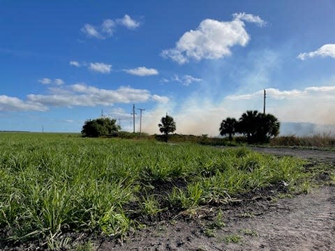 Smoke seen west of Wellington from a mulch fire that began Thursday.